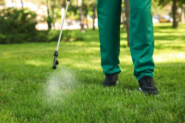 Best Best Pest Control Near Me  in Pughtown, PA