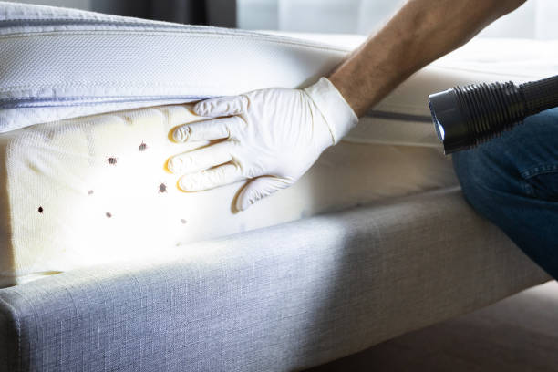 Best Best Pest Control Companies  in Pughtown, PA