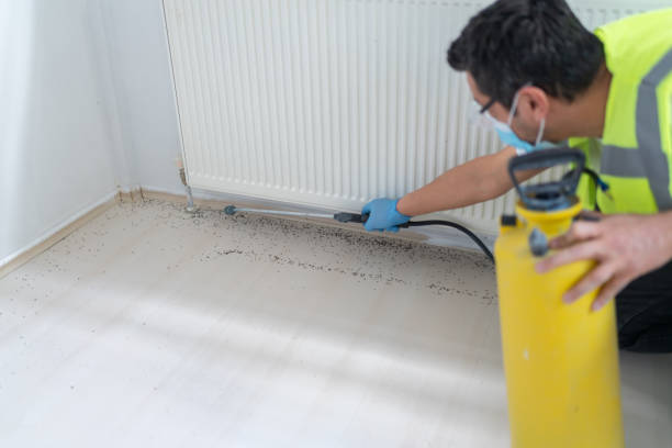 Pest Prevention Services in Pughtown, PA