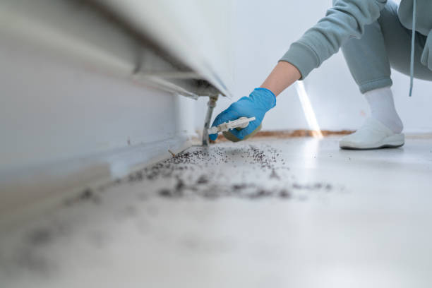 Best Rodent Control Near Me  in Pughtown, PA